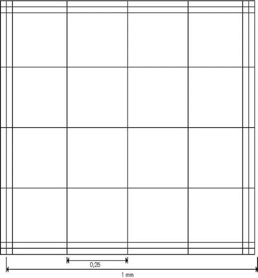 Counting chamber BB Fuchs-Rosenthal
without spring clips, double ruling
of spe