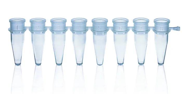 PCR-tube strip of 8 thin-walled w/o cap
0,2 ml, blue, pack of 125
BIO-CERT® PC
