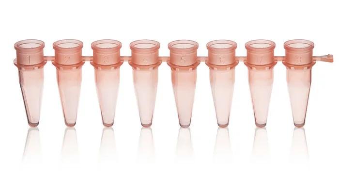 PCR-tube strip of 8 thin-walled w/o cap
0,2 ml, rose, PP, 125 pcs.
BIO-CERT® P