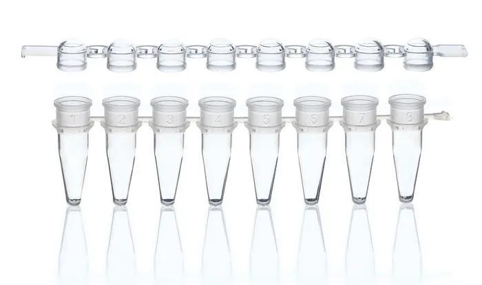 PCR-tubes and caps, strip of 8 colorless
domed cap, 250 tubes + 250 caps
PP, B
