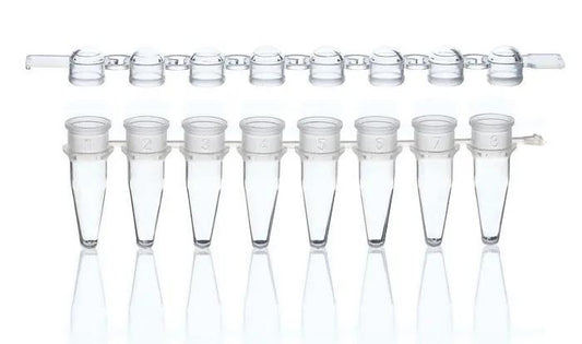 PCR-tubes and caps, strip of 8 colorless
domed cap, 250 tubes + 250 caps
PP, B