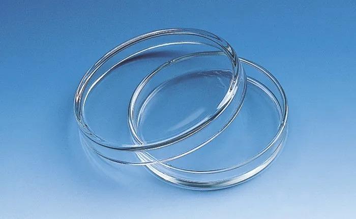 Petri dish, soda-lime glass
lid dia.  80 mm, h. of dish 15 mm
cut edges fire-p