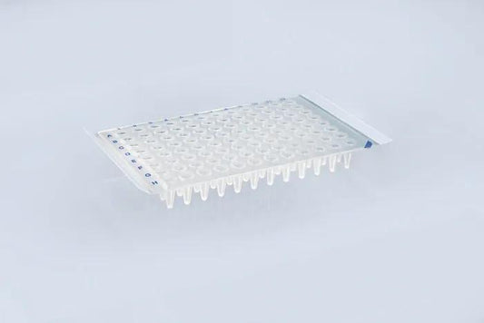 Sealing film for plates PET
peelable, self-adhesive, 100 sheets
suitable for P